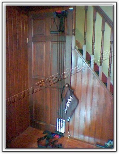 Sunny Gym - Robin's SmartGYM door gym